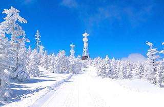 志賀高原スキー場(横手山・渋峠エリア）