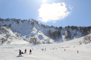 湯沢中里スキー場