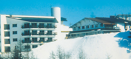 斑尾ランバーズイン