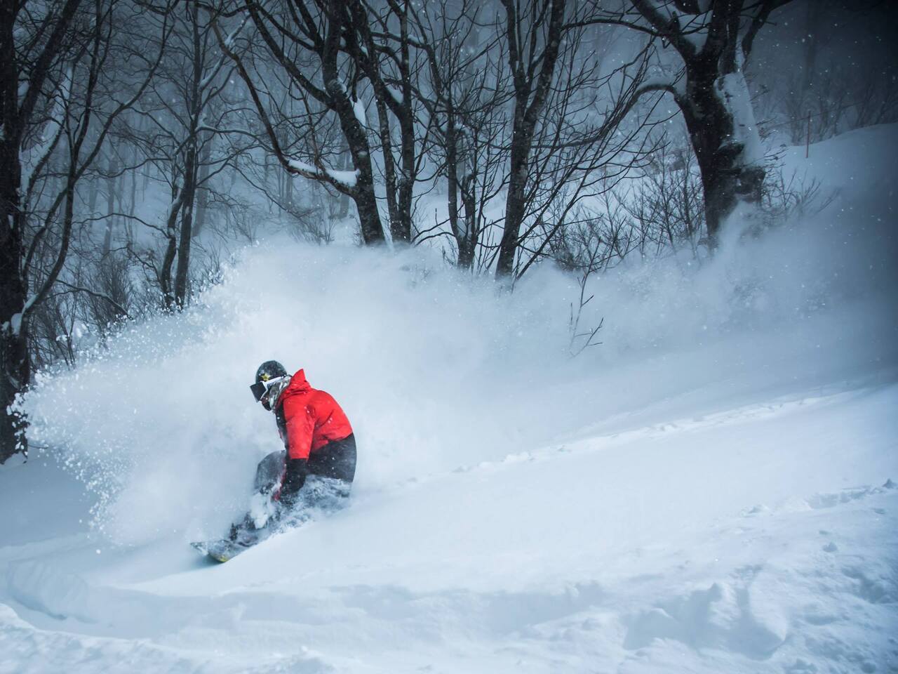 ネコママウンテン北エリア（旧猫魔スキー場）