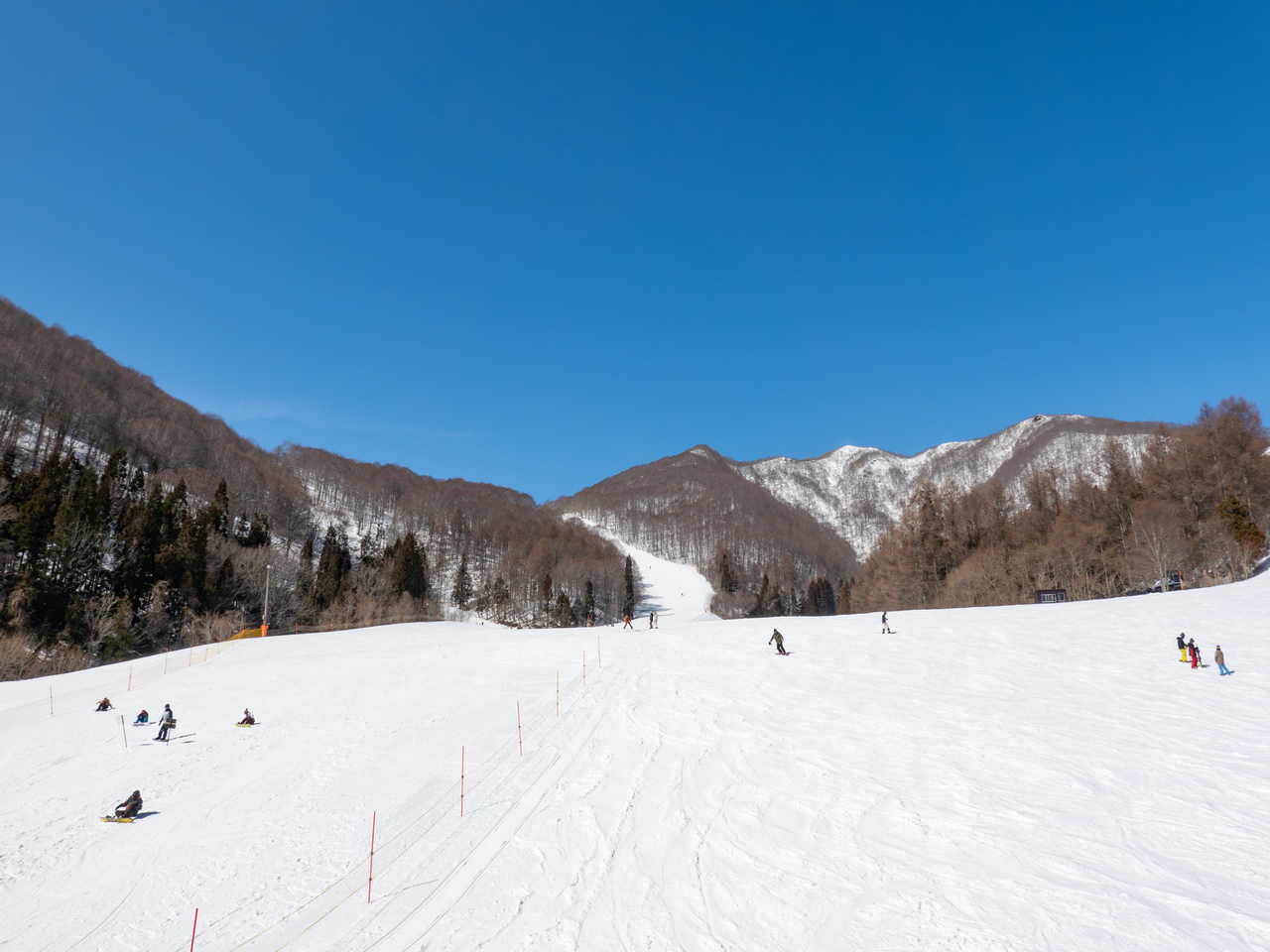 ネコママウンテン南エリア（旧アルツ磐梯）