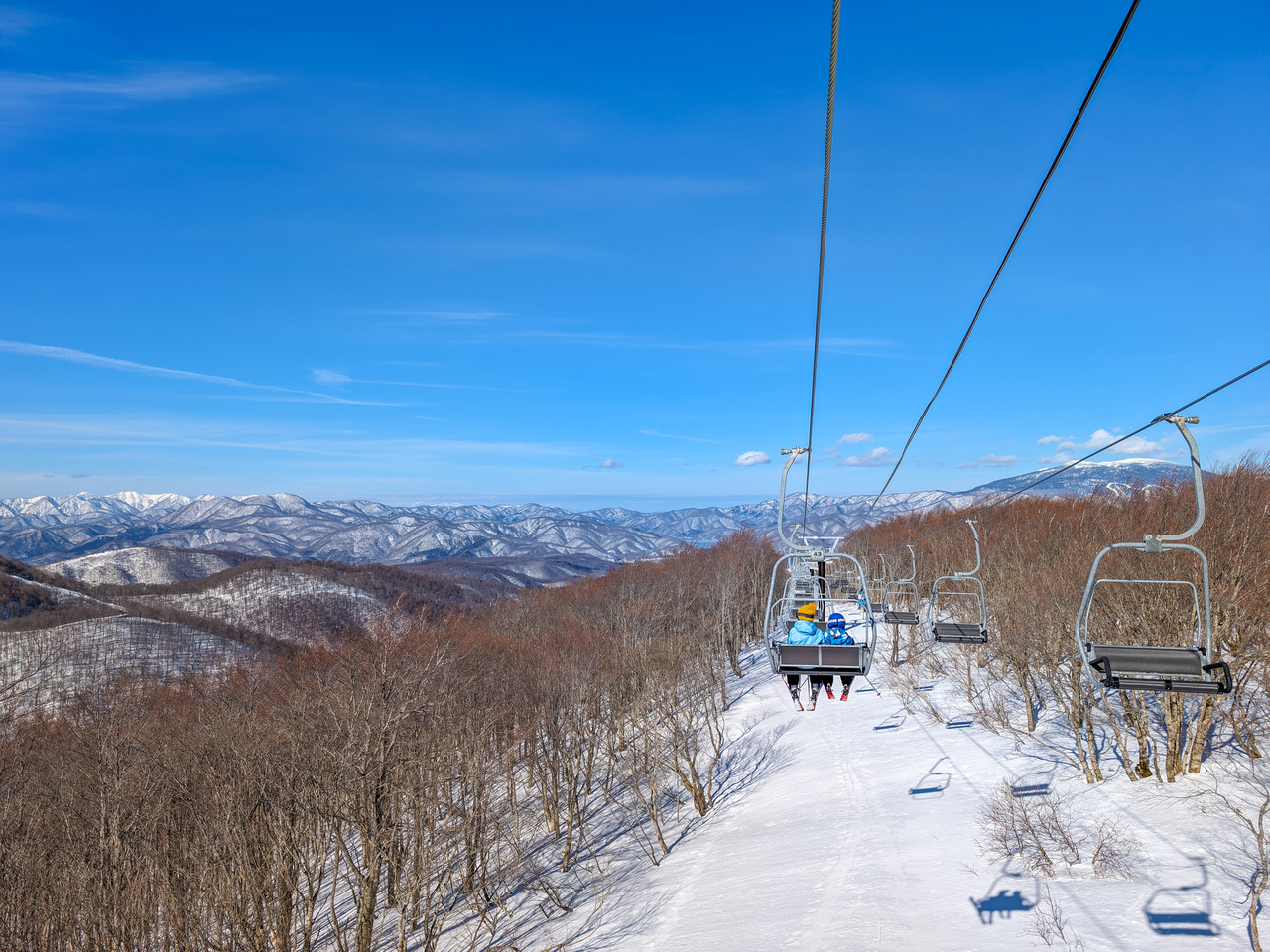 星野リゾート ネコマ マウンテンで滑るスノーボーダー