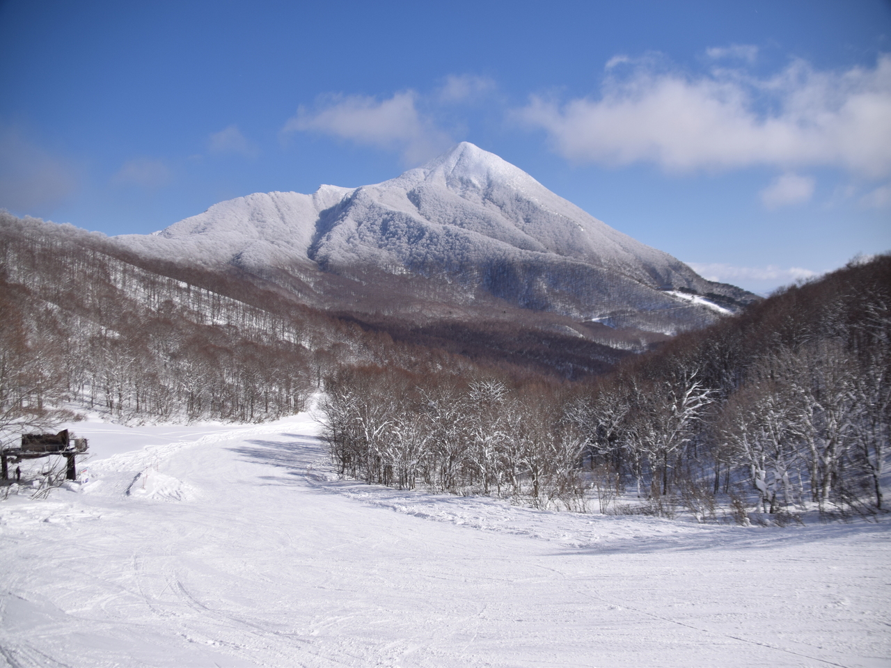 星野リゾート ネコマ マウンテンで滑るスノーボーダー