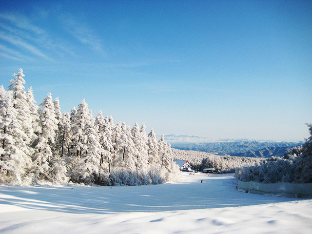 シャトレーゼスキーバレー小海でスタッフに滑り方を教えてもらう子ども