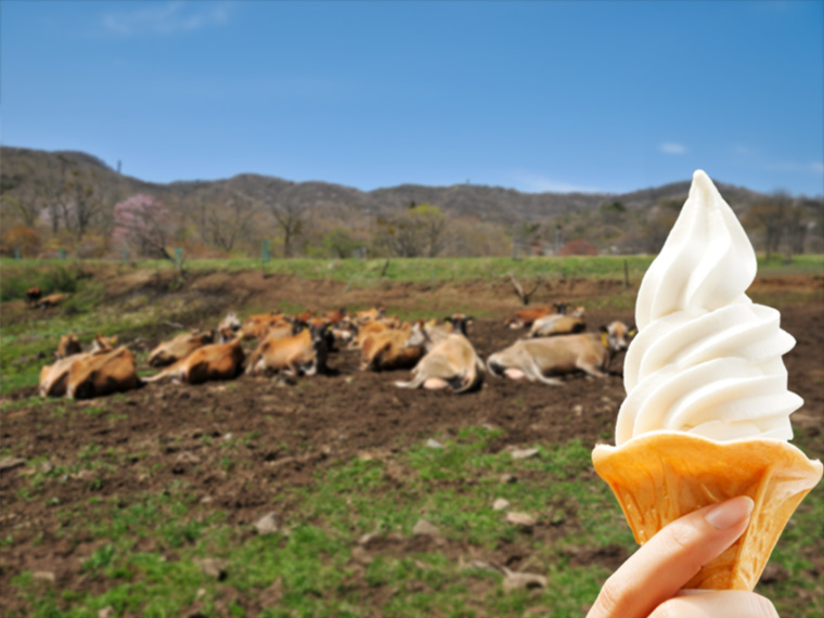 群馬県 神津牧場 ジャージー牛とソフトクリーム