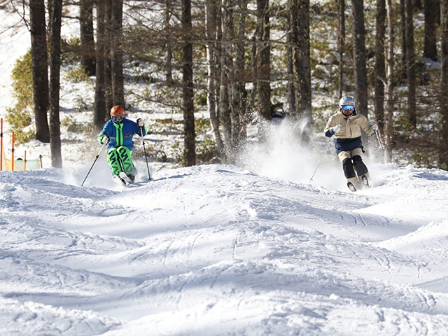 八千穂高原スキー場で滑走するスキーヤー