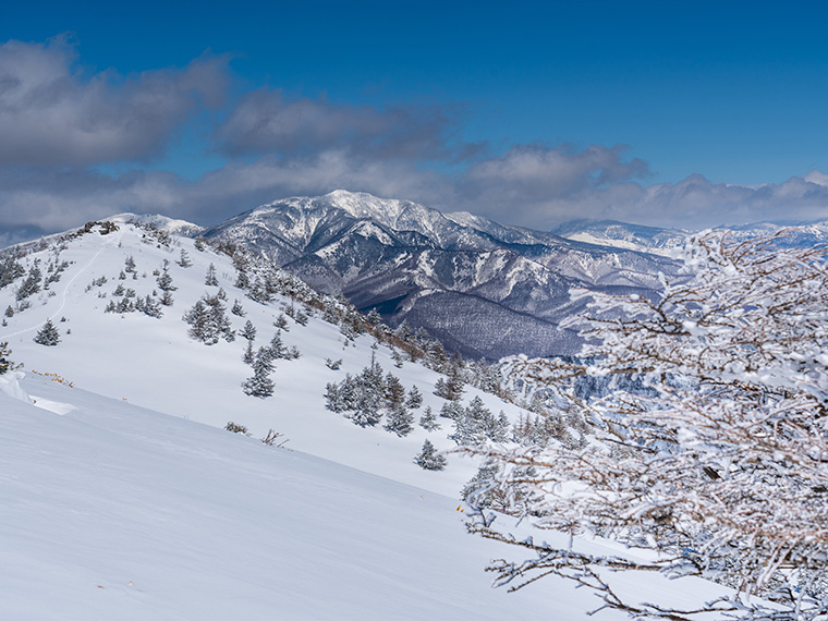 湯の丸山スノーハイク 山頂から湯の丸山北峰を臨む