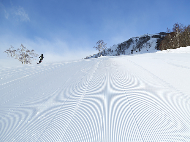 白馬コルチナスキー場の風景とスキーヤー