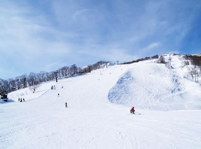 白馬八方尾根スキー場ゲレンデ風景