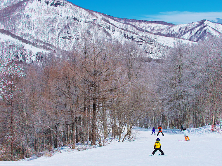 白馬岩岳スノーフィールド　DCパークのレールで飛ぶボーダー