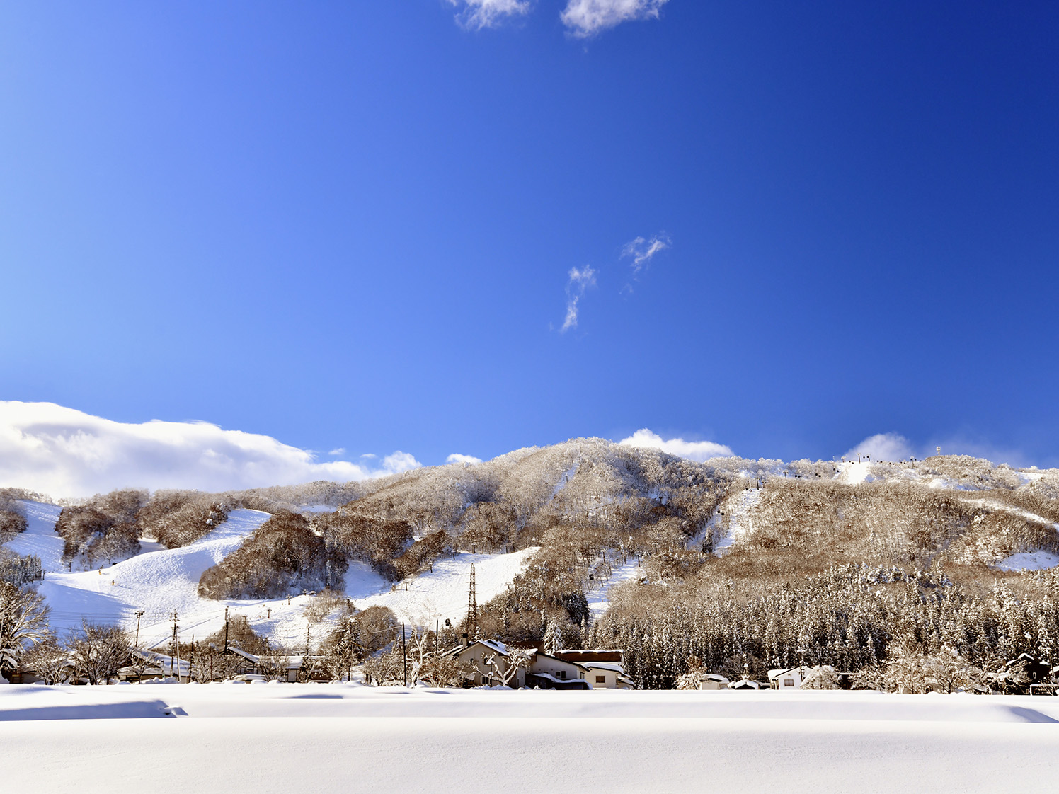 白馬岩岳マウンテンリゾート 白馬岩岳スノーフィールド周辺を望む長野県白馬村