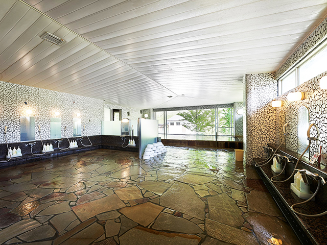 白馬アルプスホテル