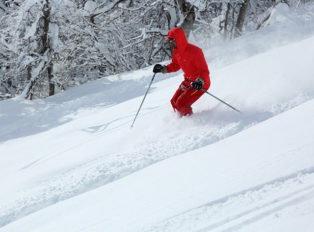 白馬さのさかスキー場で滑走するスキーヤー