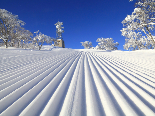 野沢温泉スキー場