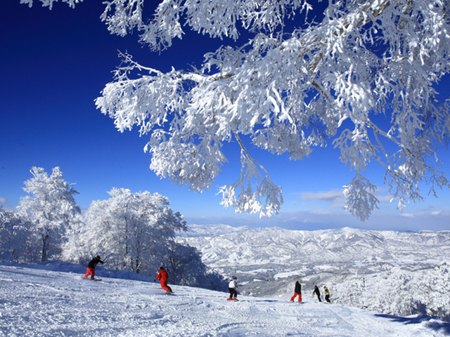 野沢温泉スキー場のゲレンデとスノーボーダー