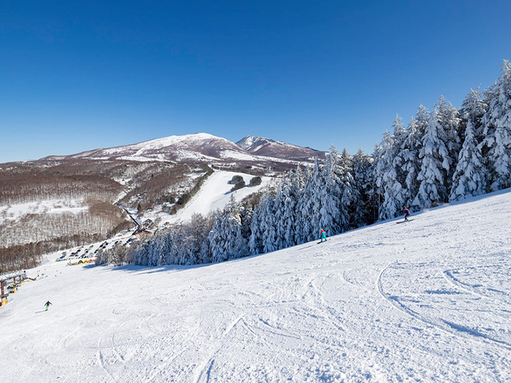 菅平高原スノーリゾートの晴天の風景3