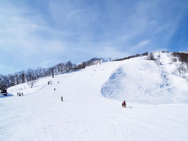 スキー amigasayama 11895