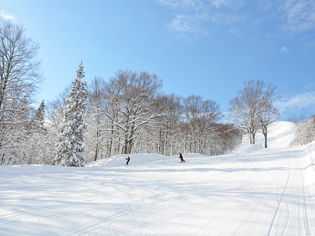 上越国際スキー場
