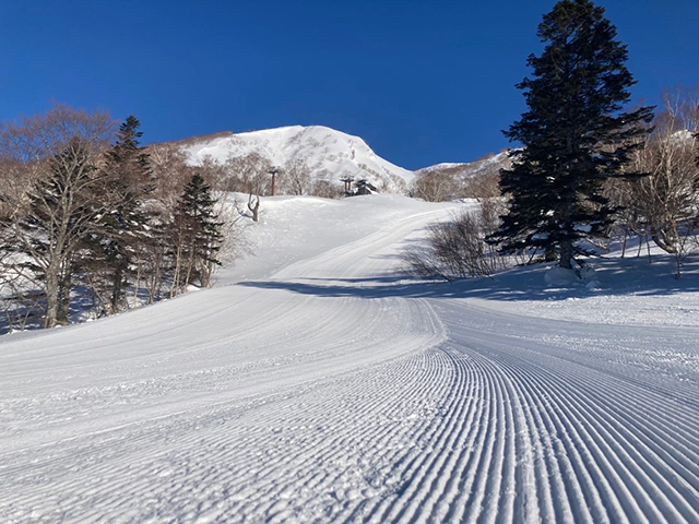 妙高杉ノ原スキー場