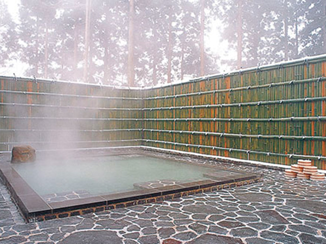 堺屋・森のホテル ヴァルトベルク浴場