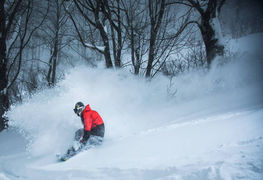 星野リゾート ネコマ マウンテン