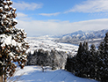 石打丸山スキー場ゲレンデ風景