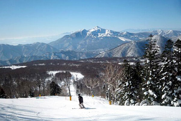 新潟発人気ツアーランキング1位