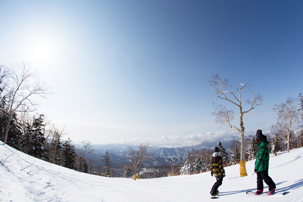 新津発人気ツアーランキング1位