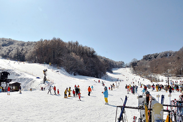 西船橋発人気ツアーランキング1位