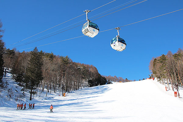 千葉発人気ツアーランキング2位