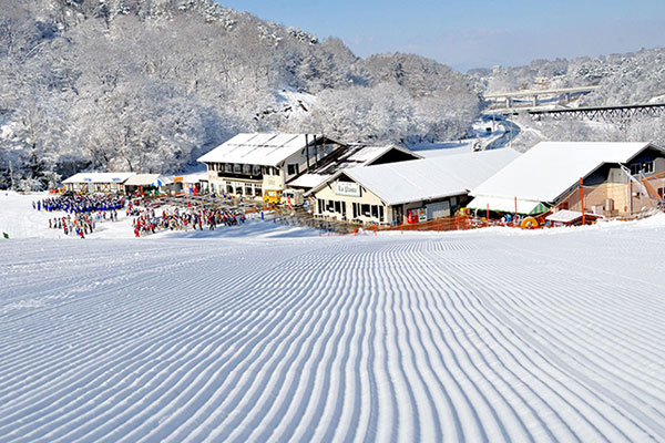 新越谷発人気ツアーランキング1位