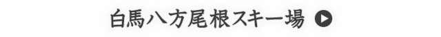 白馬八方尾根スキー場