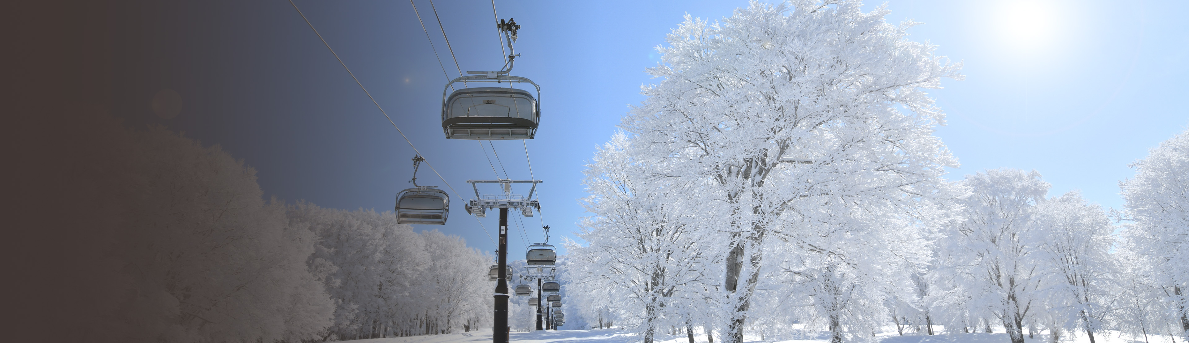 野沢温泉スキー場 上ノ平ゲレンデ 長野県野沢温泉村