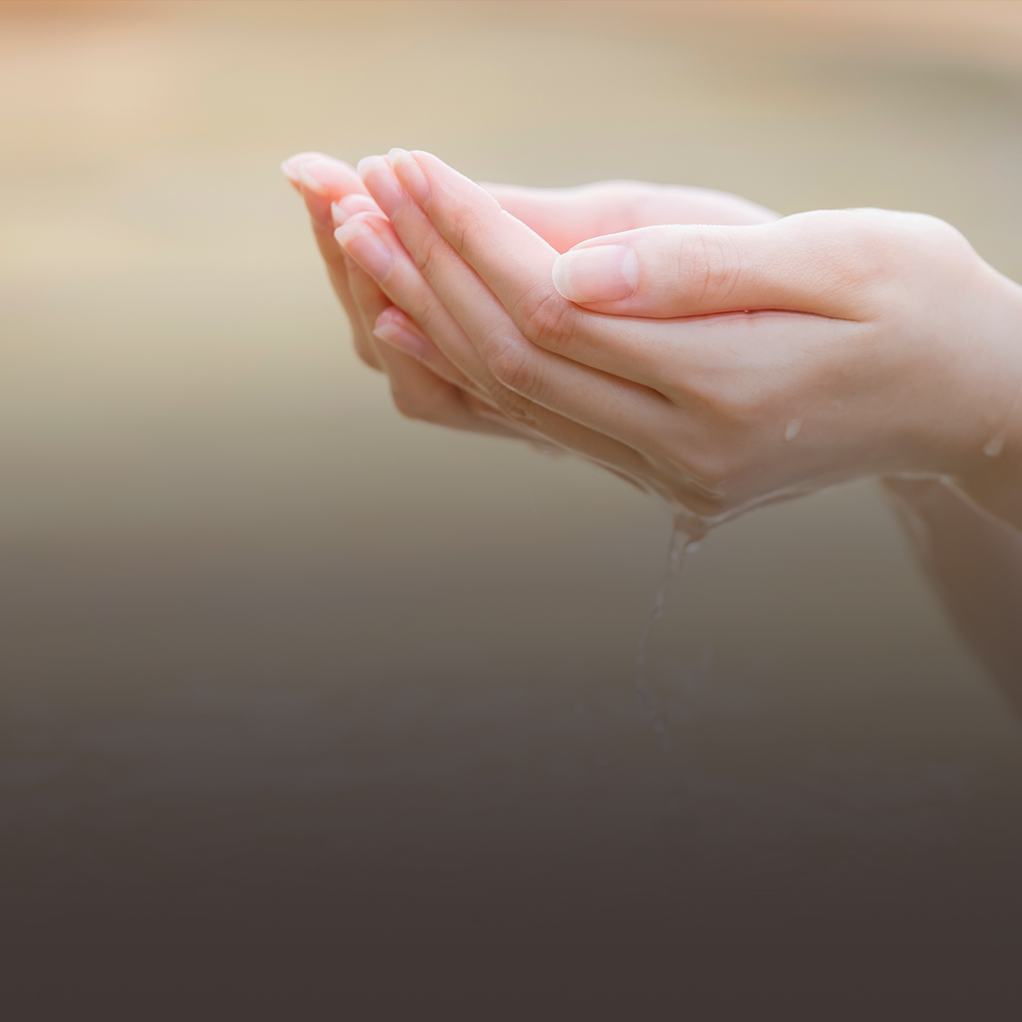 温泉の湯をすくう手