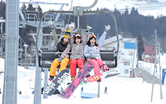 photo_article01