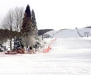 ひるがの高原スキー場