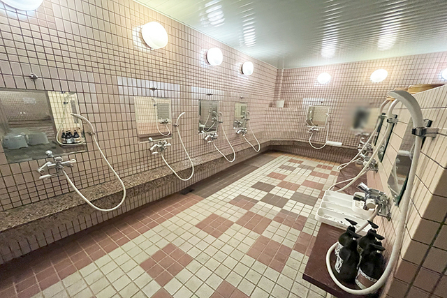 「白馬姫川温泉 「竜神の湯」