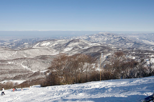 斑尾マウンテンリゾートのツリーランコース