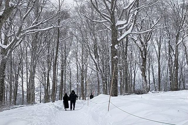 白馬岩岳スノーフィールドの風景