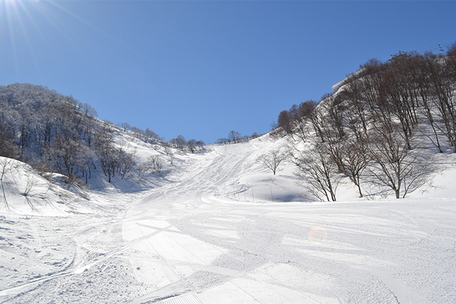 舞子スノーリゾートの風景