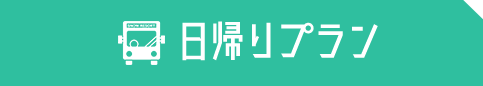 日帰りプラン