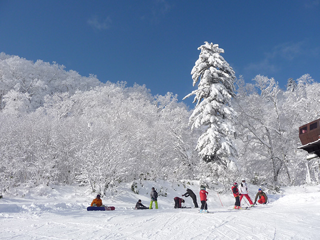 富良野スキー場