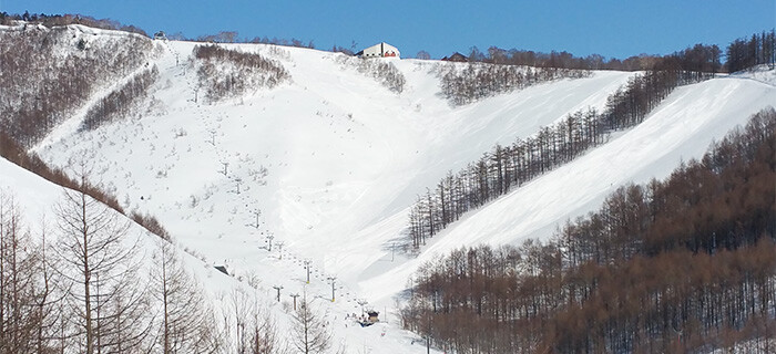 オグナ ほ たか スキー 場