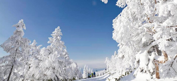 志賀高原（焼額山スキー場）