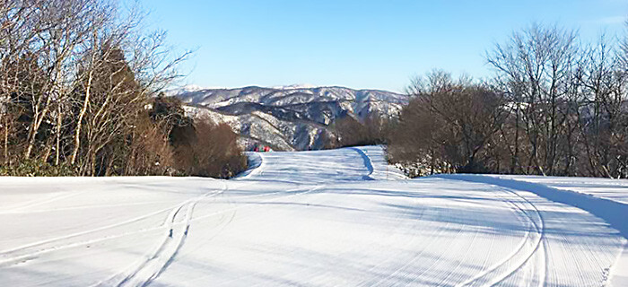 今庄365スキー場