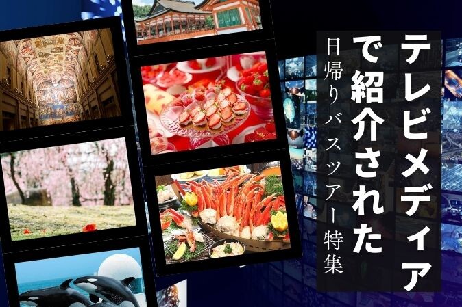 TVメディアなどで放映された日帰りバスツアー特集