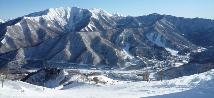 Mt.Naeba（苗場・かぐら共通）