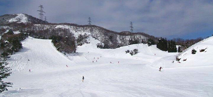 箱館山スキー場　国境高原スノーパーク　今庄365スキー場　など　リフト券2枚