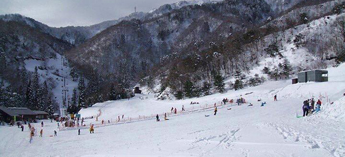 箱館山スキー場　国境高原スノーパーク　今庄365スキー場　など　リフト券2枚