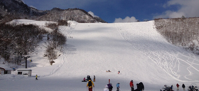 氷ノ山国際スキー場